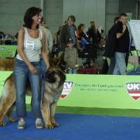 Salzburg Clubschau Mai 06 020 